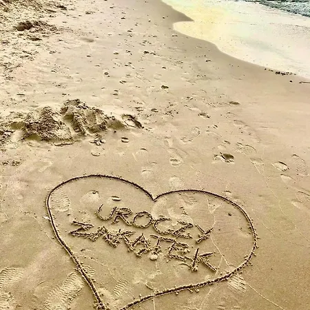 Alpesi faház Uroczy Zakatek W Sarbinowie Sarbinowo